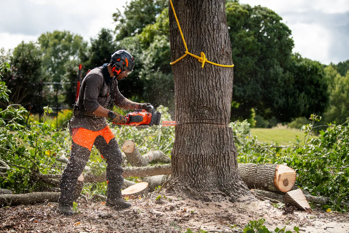 Husqvarna 564 XP fuel-injected chainsaw cutting timber in a forest